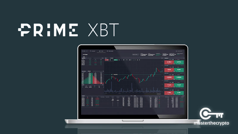 Beginner's Guide to PrimeXBT Copy Trading Beginner's Guide to PrimeXBT Copy Trading