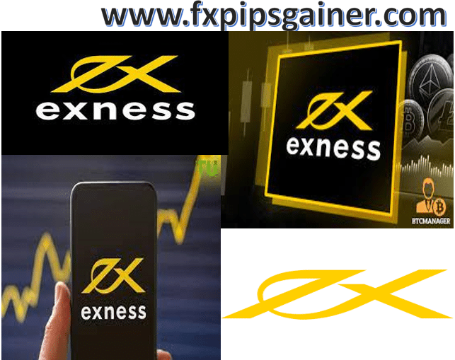 Start Exness Trading A Comprehensive Guide for Beginners Start Exness Trading A Comprehensive Guide for Beginners