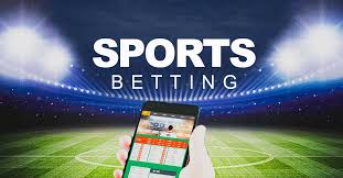 Best Crypto Casinos With Daily Payout Stats 7 Best Crypto Casinos With Daily Payout Stats 7